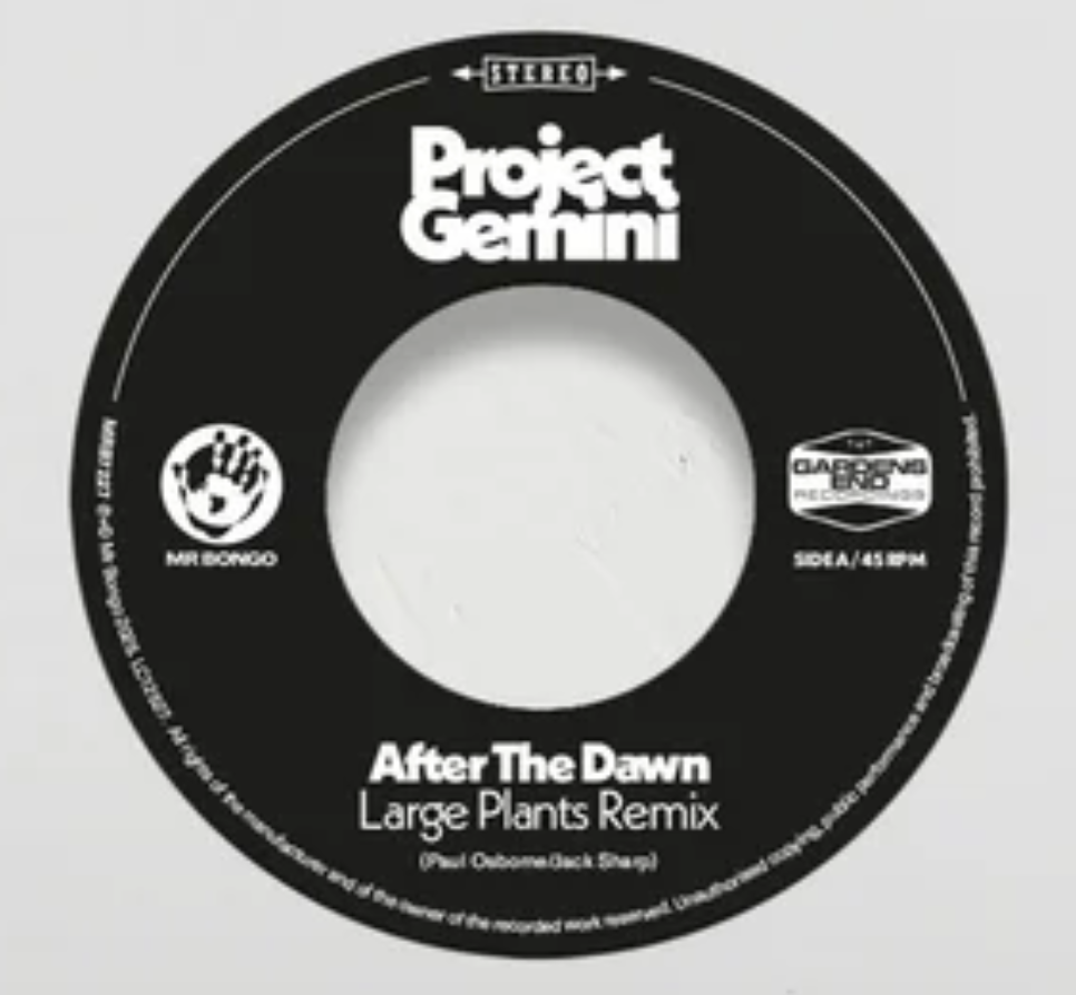 After The Dawn (Large Plants Remix) / Darkness Rising